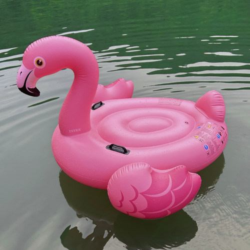 男女成人水上充气坐骑游泳圈