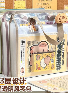 学生专用文件袋手提风琴包拉链式大容量透明作业试卷孕产检收纳袋
