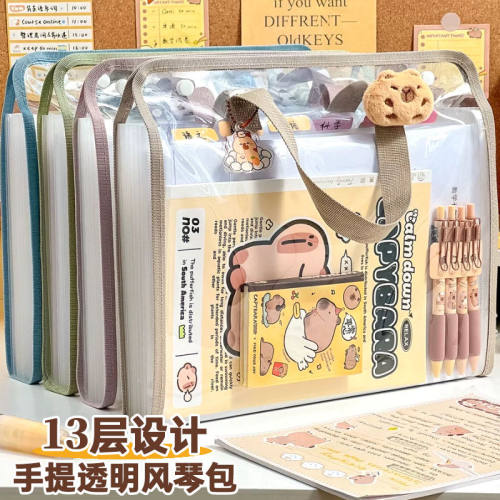 学生专用文件袋手提风琴包拉链式大容量透明作业试卷孕产检收纳袋