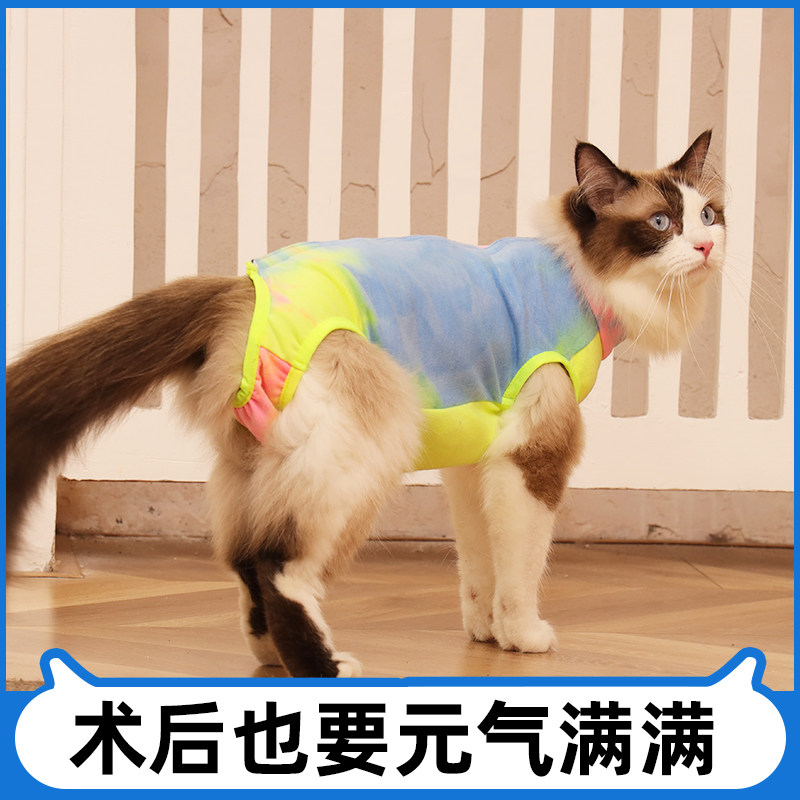 猫咪绝育服母猫手术猫咪衣服猫猫衣服防断奶术后宠物猫衣服