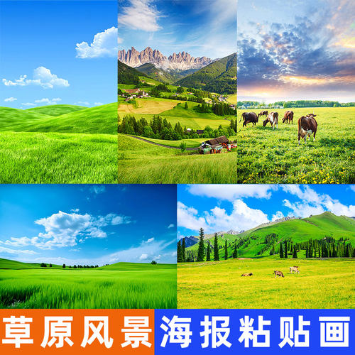 内蒙古大草原海报装饰画大自然风景蓝天白云草地客厅绿色墙贴自粘