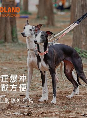宠物狗项圈中型P狗冲绳子脖圈防爆链半遛犬法斗小牵引颈圈ZOOLAND