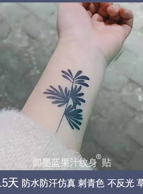 2张蕨类植物果汁纹身贴2周时效