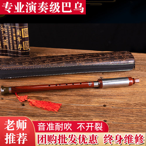 防摔耐用初学演奏竖吹巴乌