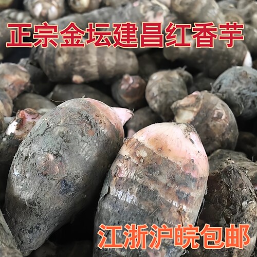 当季金坛正宗建昌红香芋新鲜常州