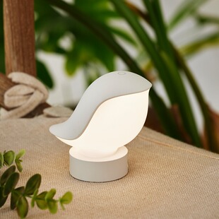 Claymore白鸽小夜灯露营灯氛围灯室内灯睡眠灯充电小灯暖光灯