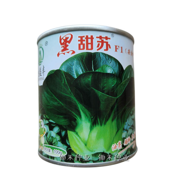 黑甜苏苏州青种籽油亮矮脚矮箕青帮太湖菜青菜种子秋季耐寒蔬菜籽