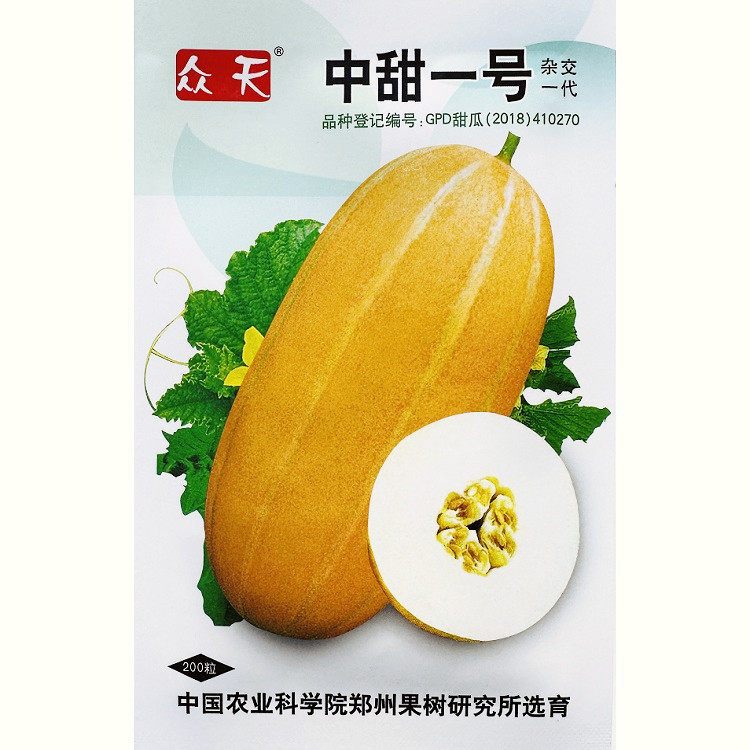 中甜一号黄皮甜瓜种子早熟金黄皮黄金蜜香瓜种子抗病耐低温耐弱光