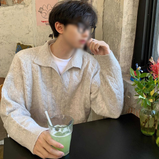 软糯慵懒风针织polo衫 毛衣男早秋超好看单穿上衣韩系老钱风毛线衣