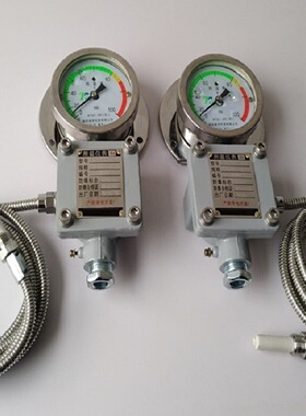 WTZd-285z防爆防震测温表