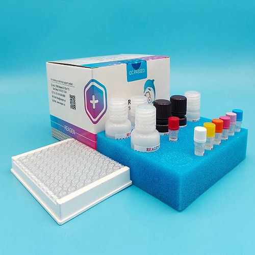 辣椒素检测试剂盒REAGEN96孔