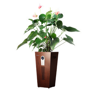 [英汇科技空气净化,氧吧]生泰宝空气净化器加湿加氧除甲醛杀菌二月销量0件仅售8980元