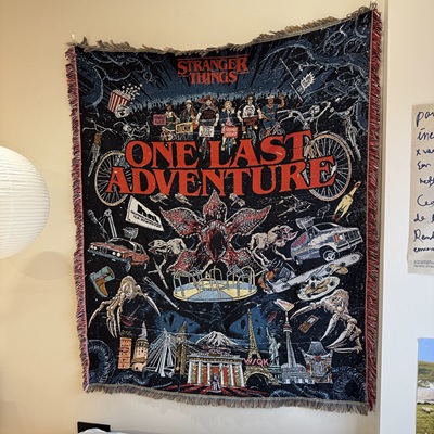 Stranger Things 怪奇物语科幻美剧 Demogorgon魔王菊花怪挂毯