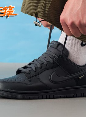 先锋运动Nike Dunk low Gore-Tex防水防滑耐磨休闲板鞋HQ2053-001