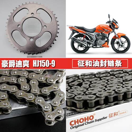 捷安特适配适用豪爵迪爽HJ150-9A-C征和油封链条链盘套装提速大小
