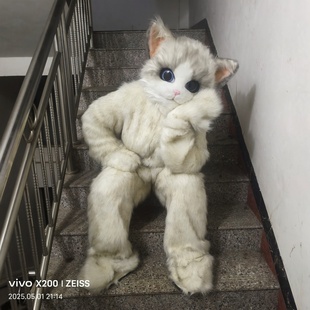 定制卡通人偶服独立行走气氛猫兽装猫服穿行演出道具表演服玩偶服