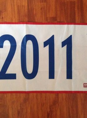 Philadelphia Phillies East Champions Pennan Flag亚马逊WISH