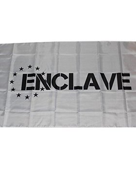 2But Fallout Enclave Flag Banner White 亚马逊 WISH EBAY热卖