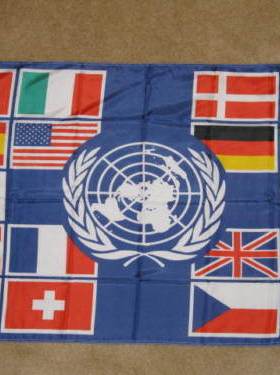 外贸货源UNITED NATIONS COUNTRIES FLAG亚马逊WISH EBAY热卖