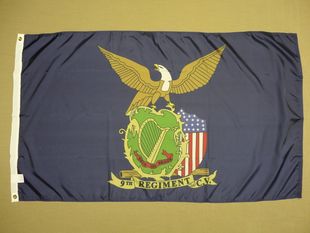 Irish Brigade WISH 9th EBAY FLAG Historical 外贸 Regiment