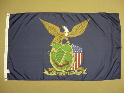 外贸 9th CT Irish Brigade Regiment Historical FLAG WISH EBAY