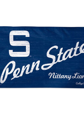 Nittany Lions Throwback Vintage Large Flag亚马逊WISH EBAY