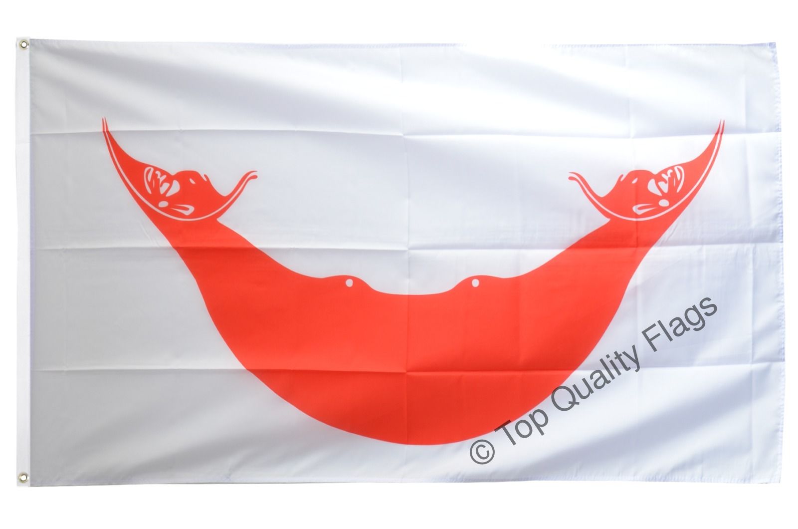 厂家直销，外贸店家货源供应， 100D 涤纶面料 双透 防水防晒 不褪色 快速优质,彩旗定做 一件定制 ，免费设计