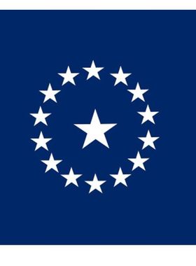 Secession flags ofTexas1861Possible secession亚马逊WISH EBAY