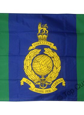 Great Britain Royal Marines Signals Squadron亚马逊WISH EBAY