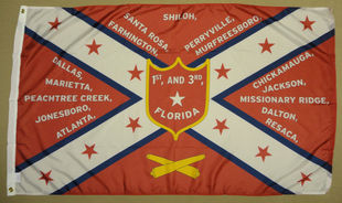 Florida Vols FLAG亚马逊 WISH Hist 3rd CSA 外贸旗帜1st 1865