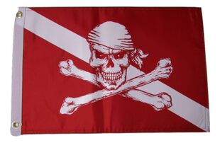 外JR Pirate Diver Down Skull Crossbones Flag亚马逊WISH EBAY
