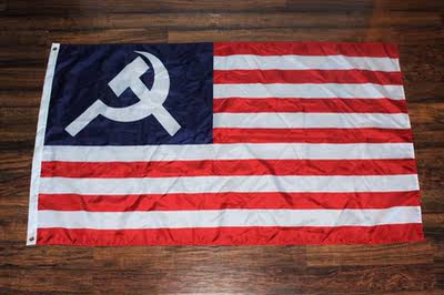 Democratic Socialists of America AmericanFlag亚马逊WISH EBAY