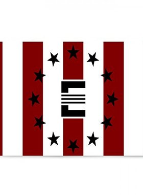 2But Fallout Enclave Flag Banner 3x5Feet亚马逊 WISH EBAY热卖