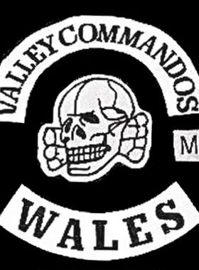 外贸Valley Commandos Motorcycle Club History FLAG 亚马逊