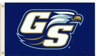 WISH 外贸旗帜NCAA EBAY Flag亚马逊 Eagles Georgia Southern