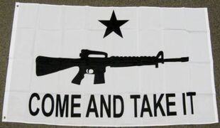 突击步枪COME AND TAKE IT ASSAULT RIFLE FLAG亚马逊WISH EBAY热