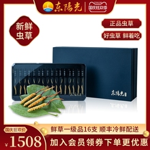 0.6g 东阳光虫草正品 鲜草一级品16支礼盒装 支 新鲜冬虫夏草0.4