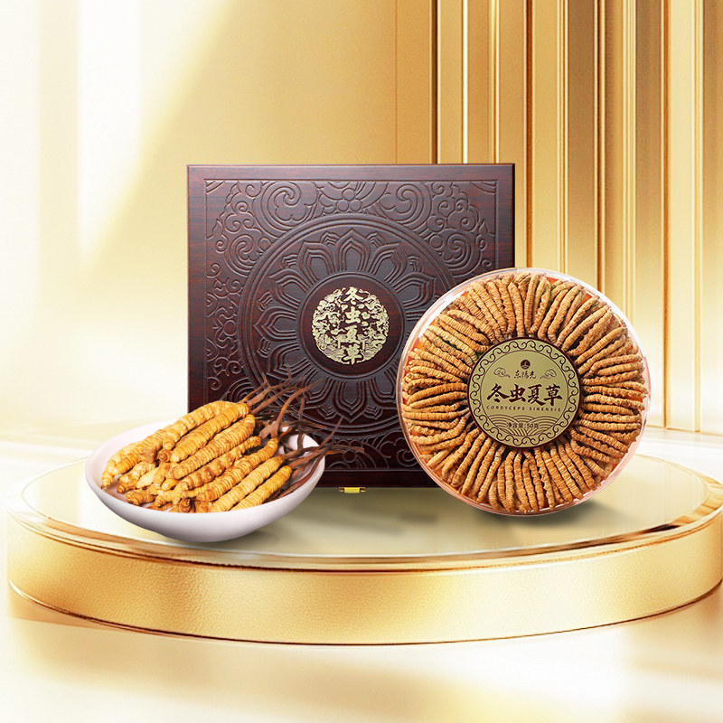 东阳光冬虫夏草官方旗舰店正品冻干虫草50g虫草干货礼盒补品高档
