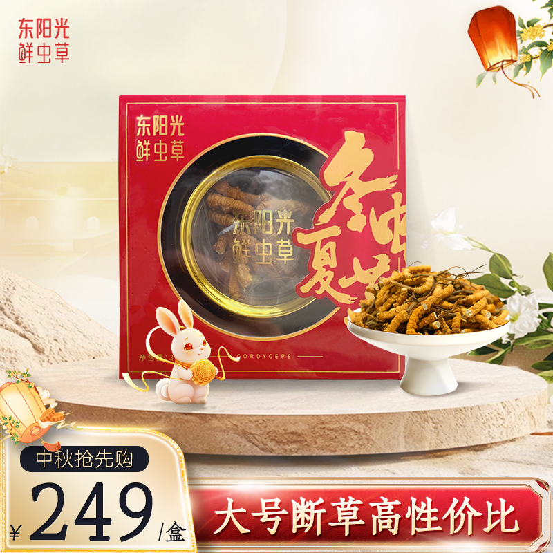 东阳光冬虫夏草断草官方旗舰店正品高海拔精品虫草干货自用推荐