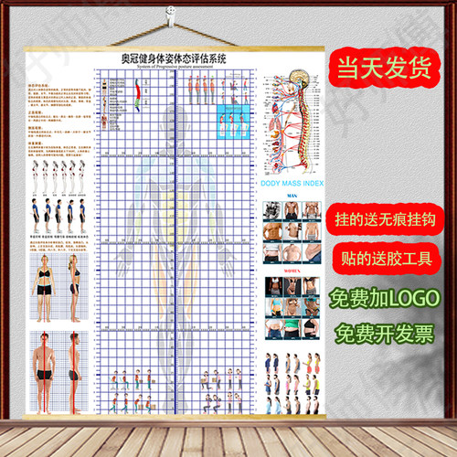 体态瑜伽健身私教身体墙图评估表