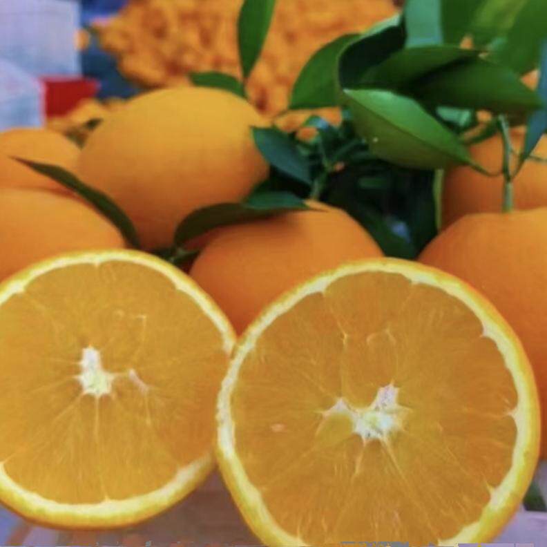 正宗江西赣南脐橙甜蜜蜜整箱十斤二十斤当季新鲜水果现摘现发大果