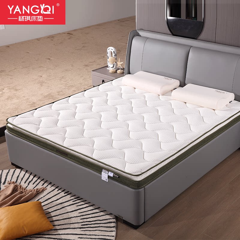 2m1.5米1.8榻榻米薄垫子杨琪床垫舒眠