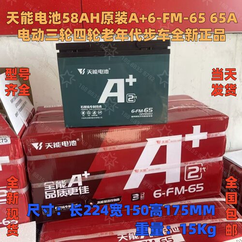 天能电动三轮四轮6-FM-65/65A