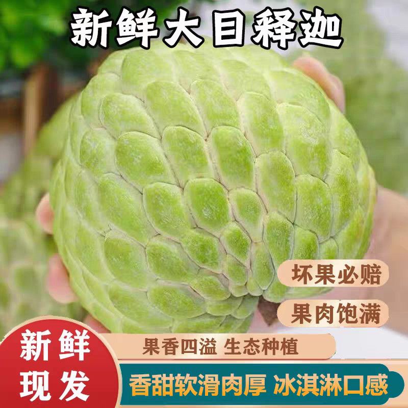 现摘现发大目释迦果冰淇淋佛头果