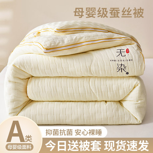 正宗蚕丝被100桑蚕丝加厚保暖10斤冬被春秋被棉被单双人空调被芯