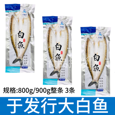 于发行太湖白鱼整条800/900g3条新鲜冷冻腌制白丝鱼大翘嘴半成品