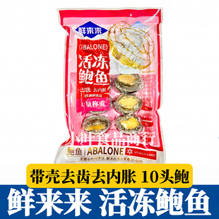 新鲜速冻10头鲍鱼带壳去肚内脏漂烫冻煮鲍鱼酒店宴席海鲜商用食材