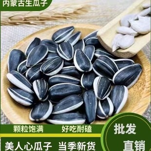 25年新货内蒙原产地生瓜子贵妃香新鲜美人心小瓜子饱满薄皮葵花籽