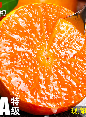 正宗爱媛38号果冻橙新鲜橙子水果四川当季整箱甜柑橘10斤大果包邮
