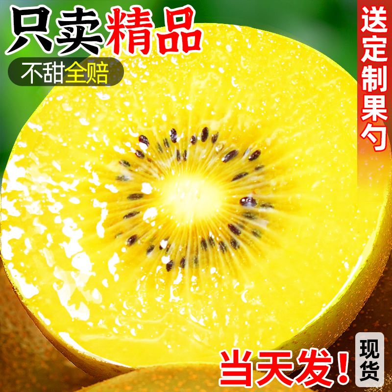 正宗四川黄心猕猴桃！巨甜多汁